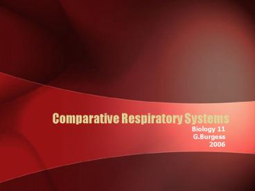 presentation player overlay