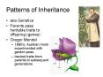 Patterns of Inheritance PowerPoint PPT Presentation