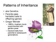 Patterns of Inheritance