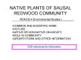 NATIVE PLANTS OF SAUSAL REDWOOD COMMUNITY PowerPoint PPT Presentation