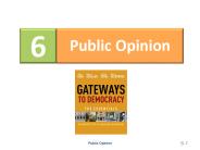 What is public opinion?