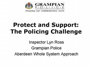 Protect and Support: The Policing Challenge