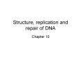 Structure, replication and repair of DNA PowerPoint PPT Presentation