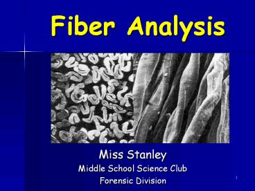 Fiber Analysis