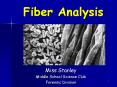 Fiber Analysis PowerPoint PPT Presentation