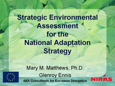 Strategic Environmental Assessment for the National Adaptation Strategy