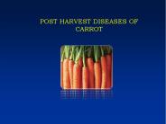 POST HARVEST DISEASES OF CARROT
