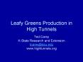 Leafy Greens Production in High Tunnels PowerPoint PPT Presentation