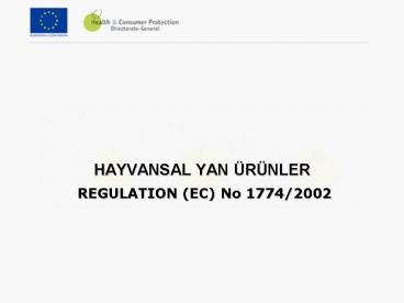 HAYVANSAL YAN 