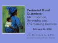 Perinatal Mood Disorders: Identification, Screening and Overcoming Barriers PowerPoint PPT Presentation