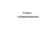 Croquis :
