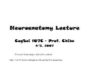 Neuroanatomy Lecture