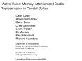 Active Vision: Memory, Attention and Spatial Representation in Parietal Cortex PowerPoint PPT Presentation