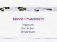Marine Environment PowerPoint PPT Presentation