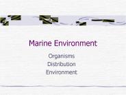 Marine Environment