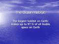 The Ocean Habitat PowerPoint PPT Presentation