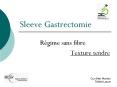 Sleeve Gastrectomie PowerPoint PPT Presentation