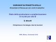 Stato della produzione e caratterizzazione PowerPoint PPT Presentation