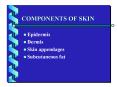 Androgen alopecia PowerPoint PPT Presentation