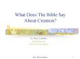 What Does The Bible Say About Creation? PowerPoint PPT Presentation