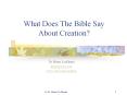 What Does The Bible Say About Creation? PowerPoint PPT Presentation