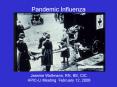 Pandemic Influenza PowerPoint PPT Presentation