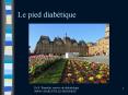 Le pied diab PowerPoint PPT Presentation