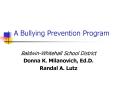 A Bullying Prevention Program PowerPoint PPT Presentation