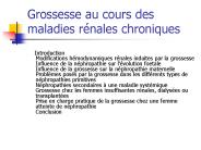 Grossesse au cours des maladies r
