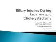 Biliary Injuries During Laparoscopic Cholecystectomy PowerPoint PPT Presentation