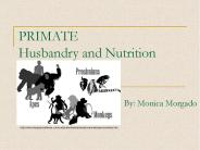 PRIMATE Husbandry and Nutrition