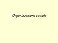 Organizzazione sociale PowerPoint PPT Presentation