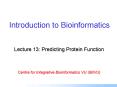 Introduction to Bioinformatics PowerPoint PPT Presentation