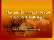 Pakistan Halal Meat Sector Scope