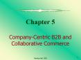 Chapter 5 Company-Centric B2B and Collaborative Commerce PowerPoint PPT Presentation