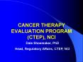 CANCER THERAPY EVALUATION PROGRAM (CTEP), NCI PowerPoint PPT Presentation