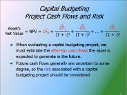Capital Budgeting Project Cash Flows and Risk