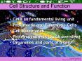 Cell Structure and Function PowerPoint PPT Presentation