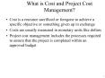 What is Cost and Project Cost Management? PowerPoint PPT Presentation
