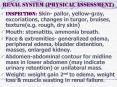Renal system (physical assessment) PowerPoint PPT Presentation