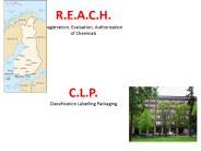 R.E.A.C.H.