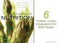 Proteins: Crucial Components of All Body Tissues PowerPoint PPT Presentation