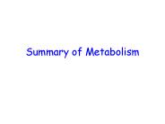 Summary of Metabolism