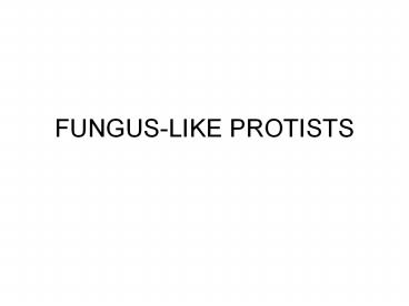 FUNGUS-LIKE PROTISTS