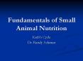 Fundamentals of Small Animal Nutrition PowerPoint PPT Presentation