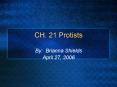 CH. 21 Protists PowerPoint PPT Presentation