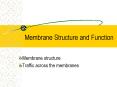 Membrane Structure and Function PowerPoint PPT Presentation