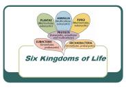 Six Kingdoms of Life