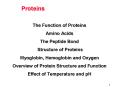 Proteins PowerPoint PPT Presentation