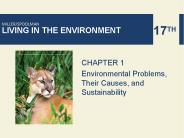 Environmental Problems, Their Causes, and Sustainability